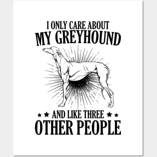 Greyhound Posters and Art